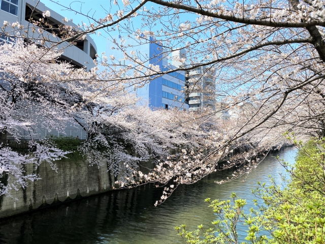 目黒に住む|目黒でのお部屋探しは当社にお任せください。